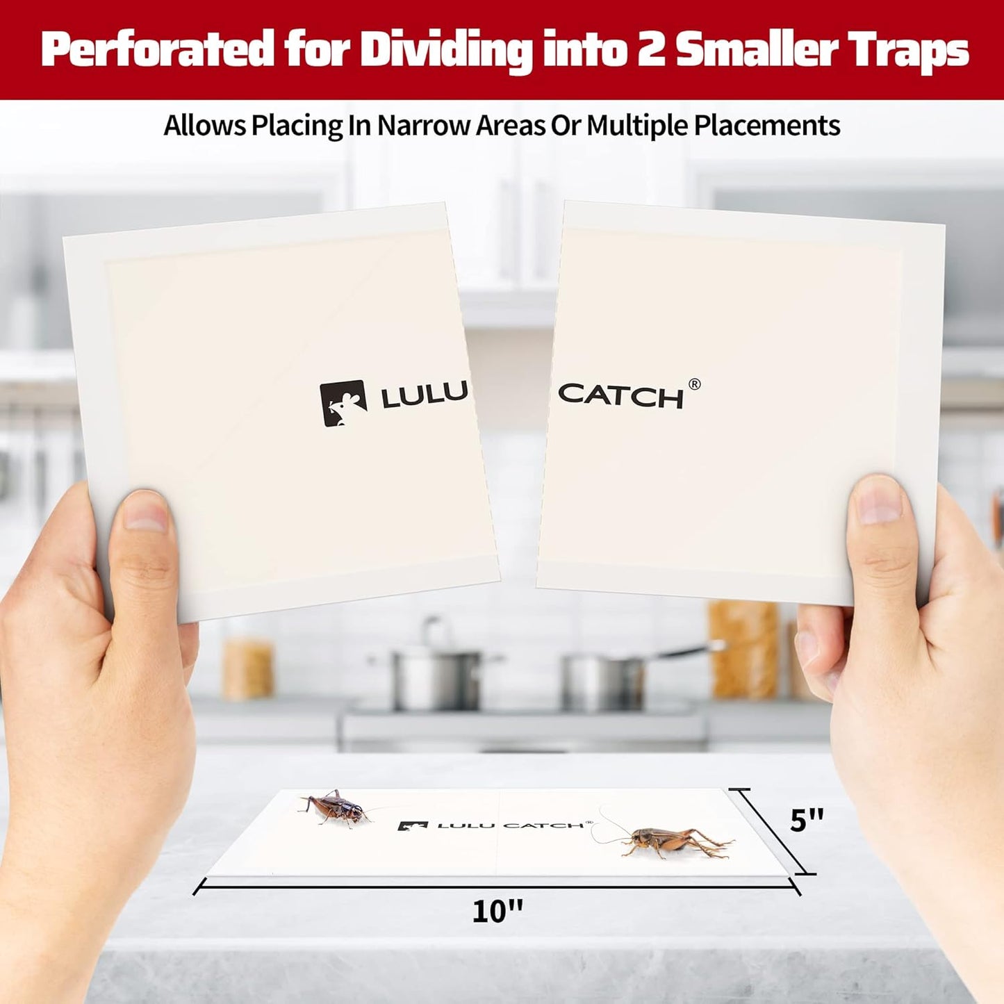 LULUCATCH Cricket Insect Glue Traps - 48 Pack Bug Sticky Traps, Large & Adhesive Spider Scorpion Trap with Pre-Baited Attractant, Highly Effective Glue Boards Indoor, Non-Toxic, Pet Safe Pest Control