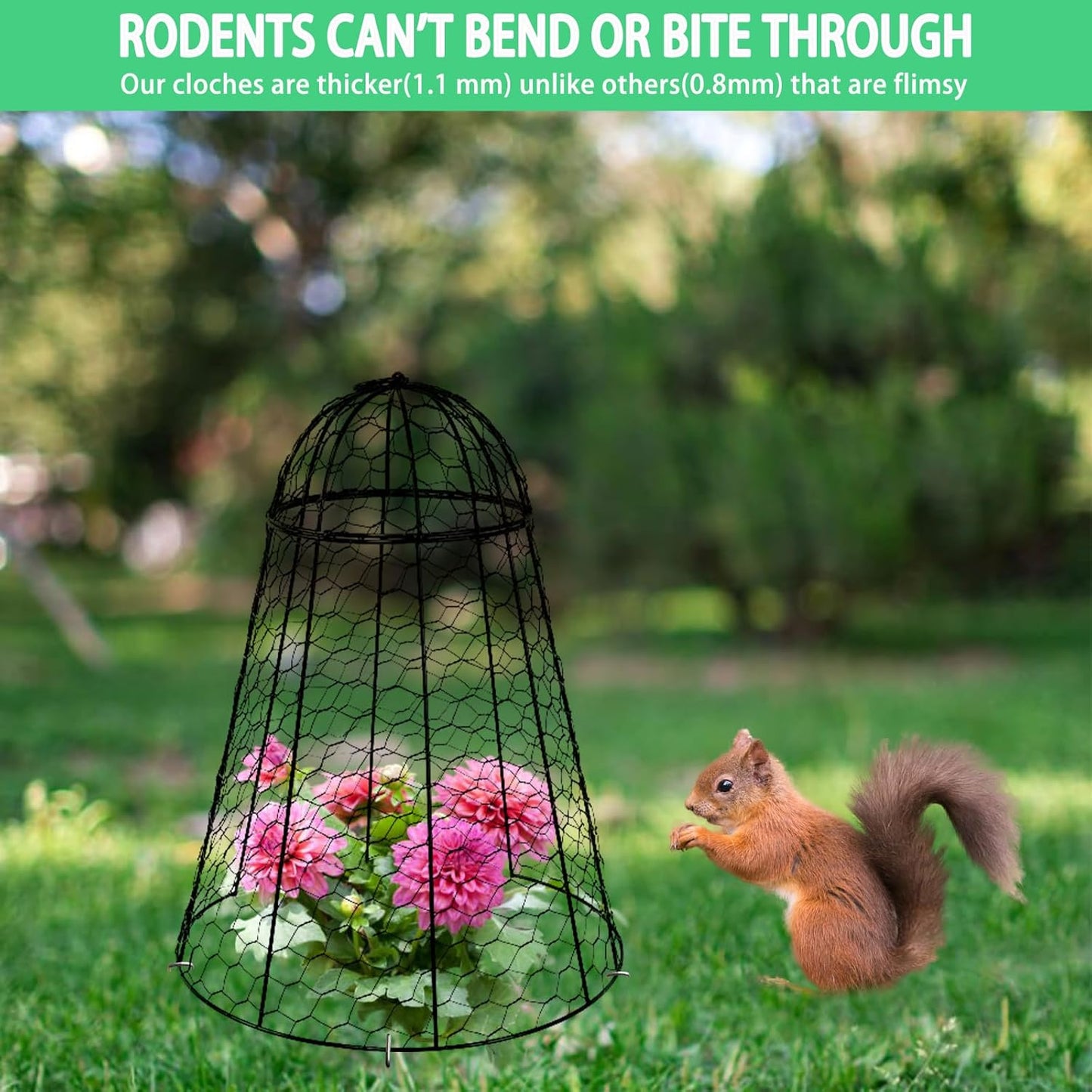 Garden Cloches for Plants Extra Large Sapbontchi Garden Cloche Chicken Wire Cloche for Plants Cages Cover Plant Protectors from Animals in Outdoor Vegetable Garden Set of 6 Plant Cloche 20" H x 12" D