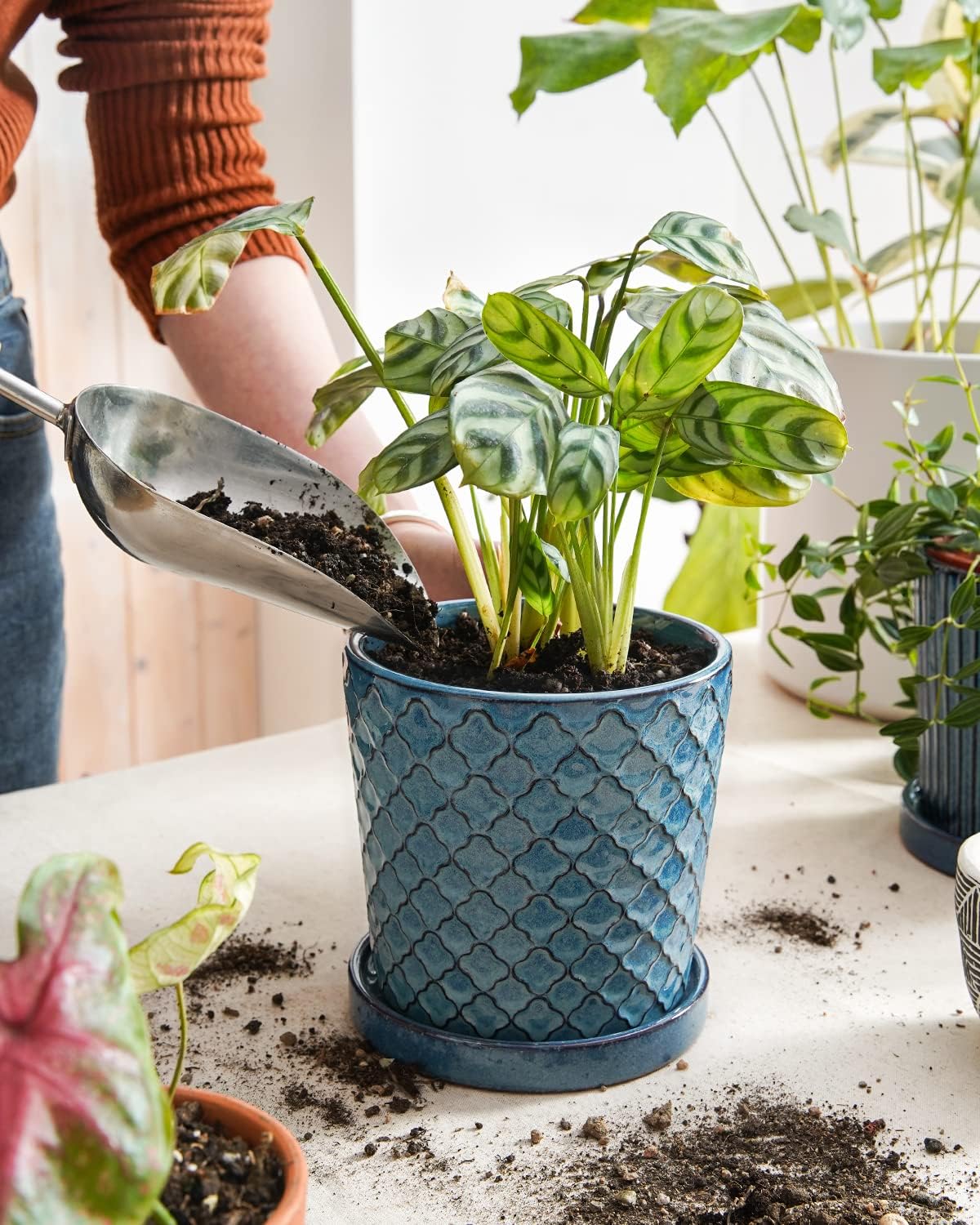 LE TAUCI Ceramic Pots for Plants, 5.5 Inch Plant Pots with Drainage Hole and Saucer, Indoor Plant Pots for Succulent, Snake Plants and Cactus, Flower Pots, Set of 2, Reactive Glaze Blue
