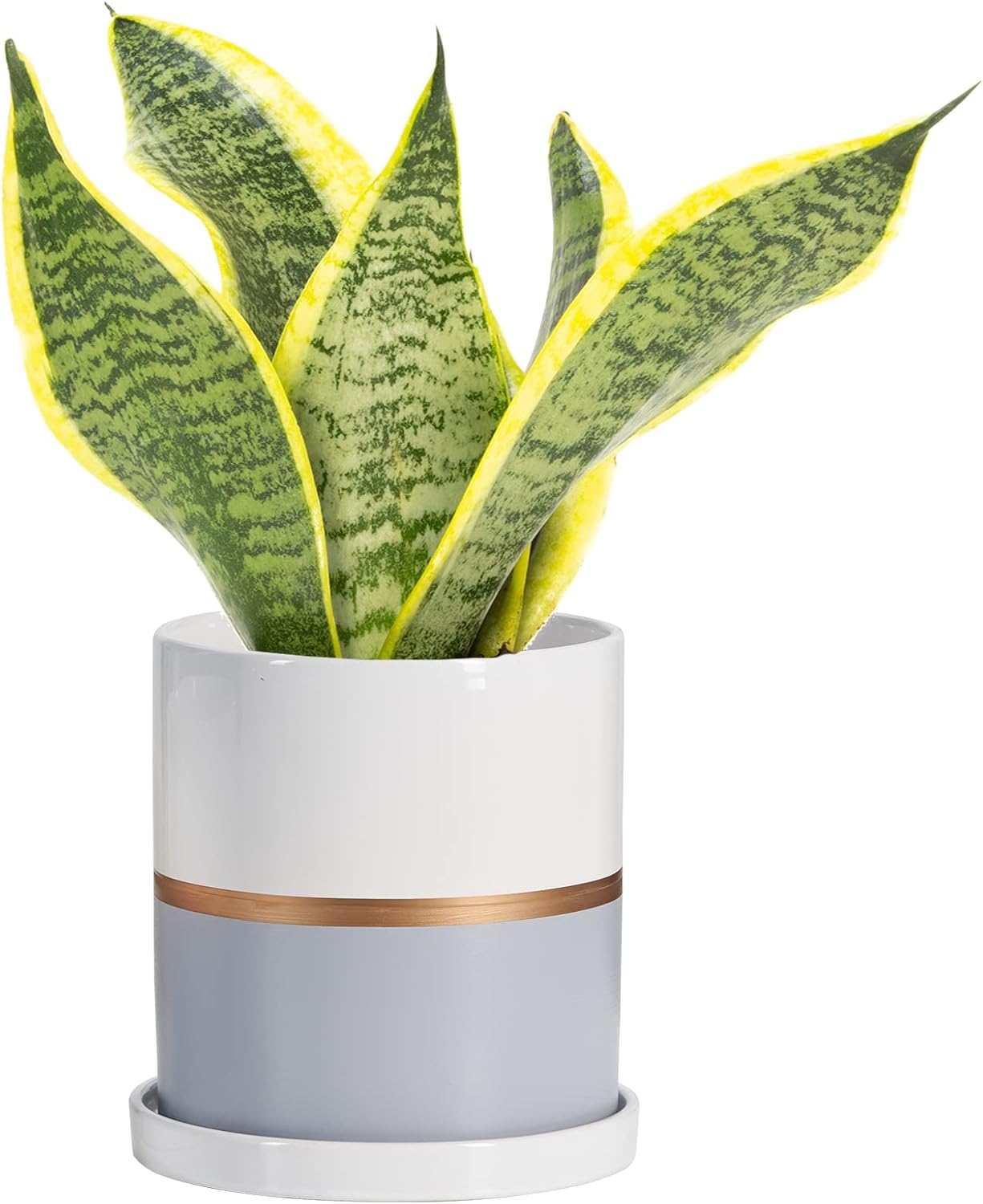 Ekirlin 6 inch Plant Pot - Ceramic Flower Planters Indoor - Modern Succulents Containers with Drain Hole Saucer, Decorate Home, Office & Outdoor (Grey)