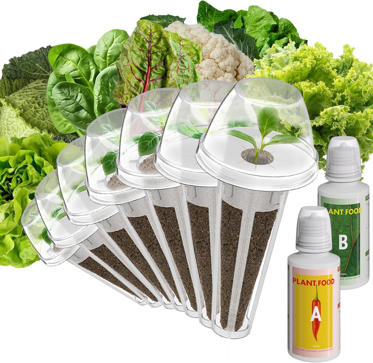 inbloom Salad Green Seed Pod Kit for Hydroponics Growing System, 7 Pods (350+ Seeds with American Fast/Paris Island/Buttercrunch Lettuce, Swiss Chard, Spinach, Cauliflower, and Wild Cabbage)