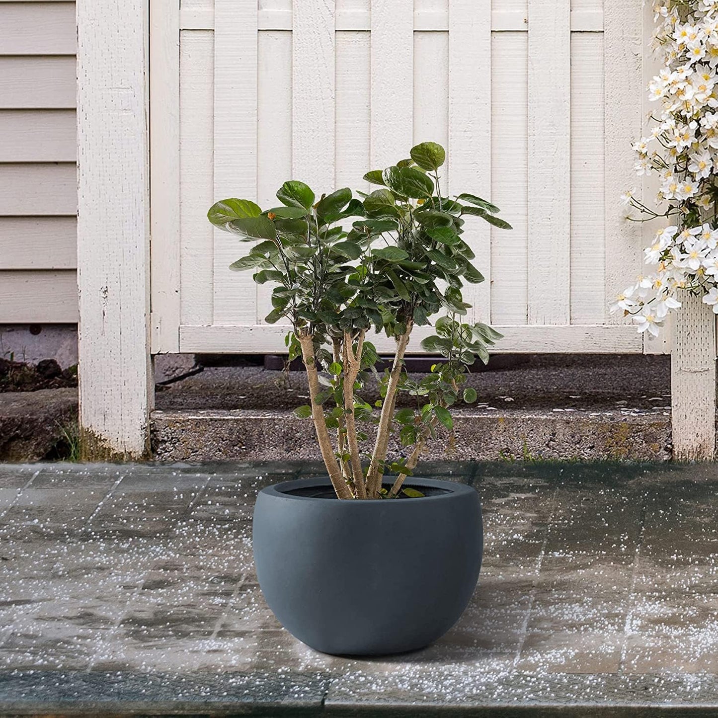 Kante 19.9" Dia Round Concrete Planter, Outdoor/Indoor Large Bowl Plant Pots with Drainage Hole and Rubber Plug for Garden Patio Balcony Home, Charcoal