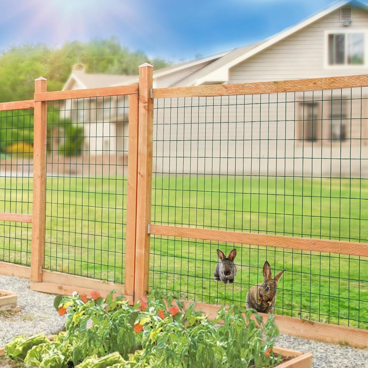 Green PVC Coated Welded Wire Fence 56 Inch x 50 Foot, 2 Inch x 4 Inch 14GA, Garden Border Fencing Roll Vinyl Coating Metal Wire Mesh Hardware Cloth for Yard Vegetable Plant Protection