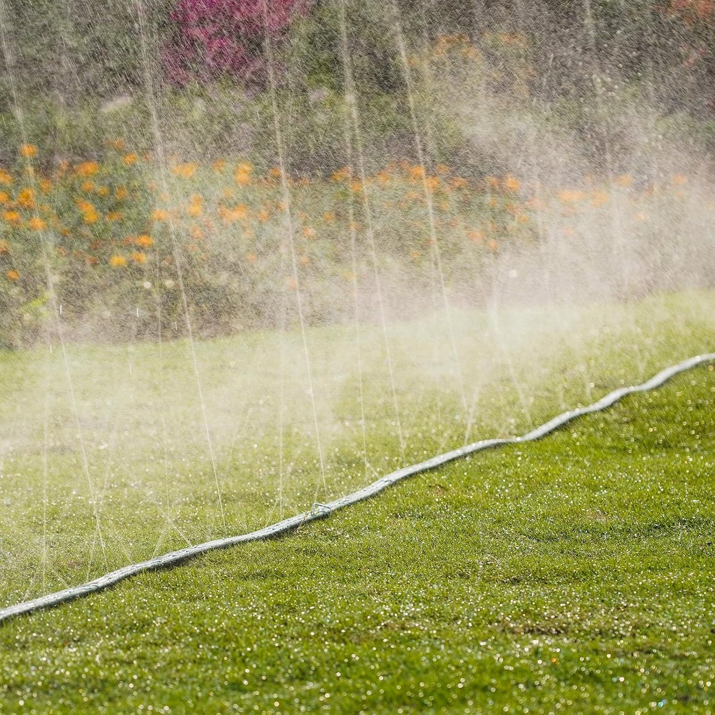 Sprinkler Soaker Hose 50ft 2Pack for Garden Lawn, Watering Pipe with Holes, High-Efficiency Water-Saving Garden Irrigation System, Drip Hose Sprinkler
