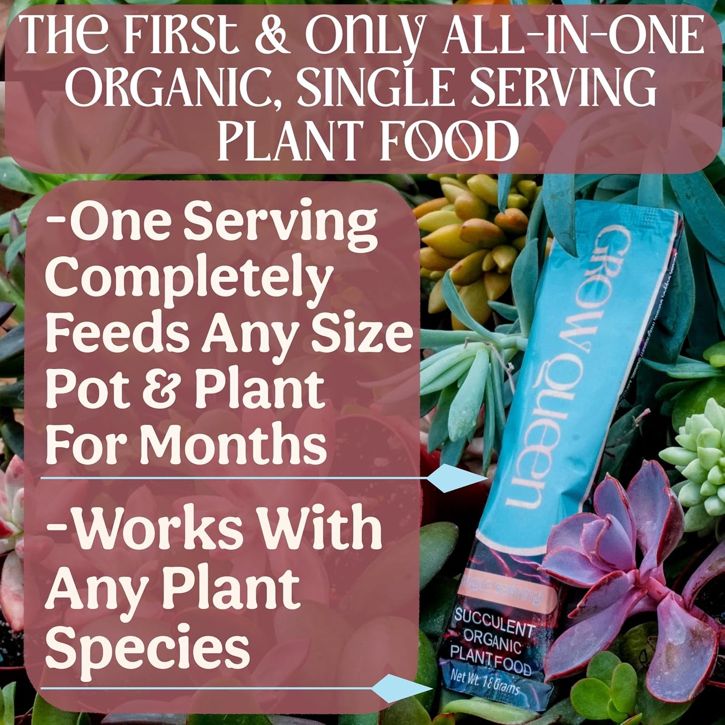 All-In-One Organic Succulent Fertilizer, Cactus Fertilizer, Succulent Plant Food, Bonsai & Cactus Food, 1lb bag = 25 Single Servings, Fast & Slow Release feeds up to 100 plants for 8 months