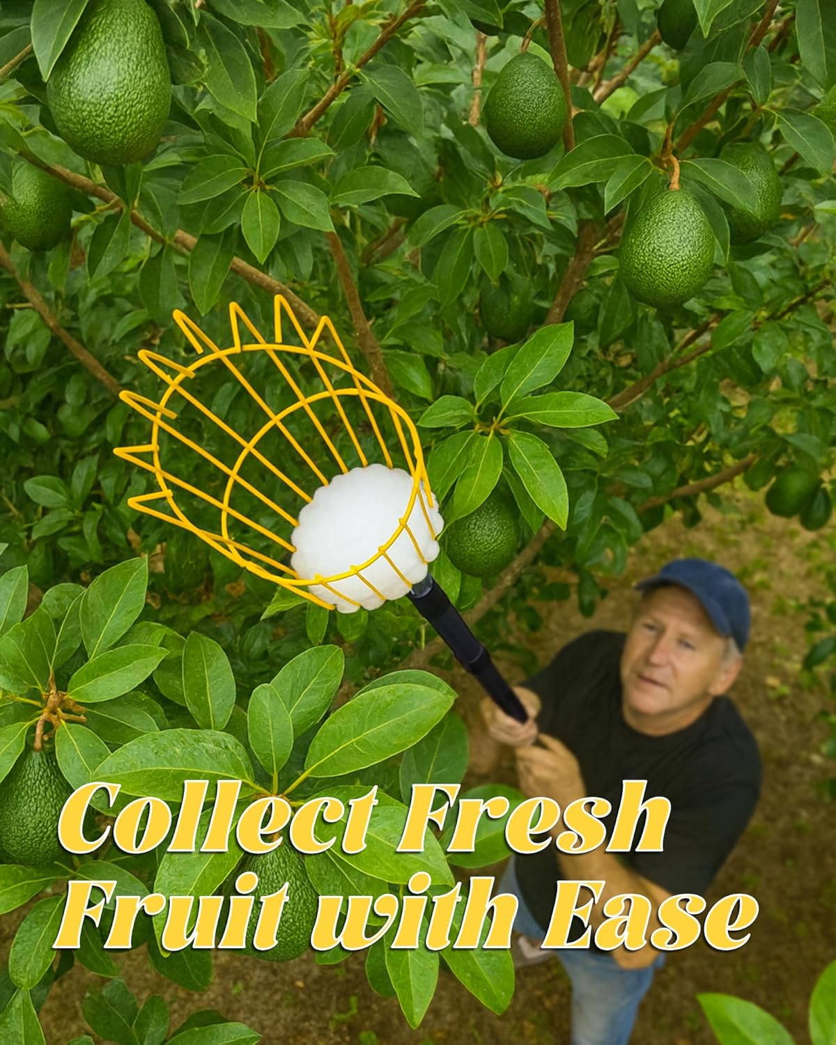 13.5FT Fruit Picker, Apple Picker Tool with Adjustable Pole and Basket, Long Reach Mango Grabber Tool, Tree Fruit Catcher for Picking Lemon Pear Orange Avocado Peach Citrus
