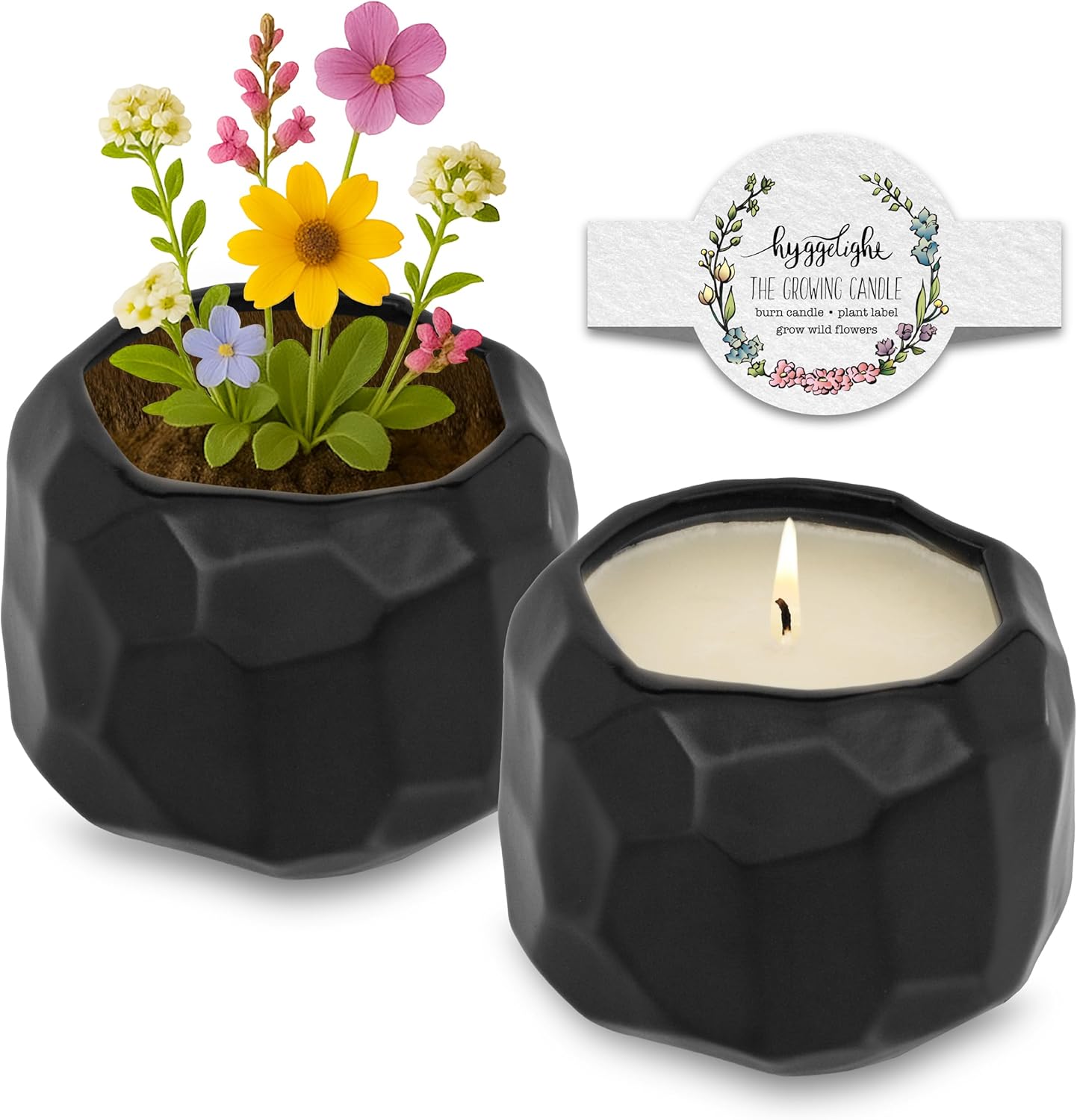 The Growing Candle, Lavender Scented, 13oz Ceramic Pot, Single Wick Aromatherapy Candles, 100% Soy for Women and Men, Emma