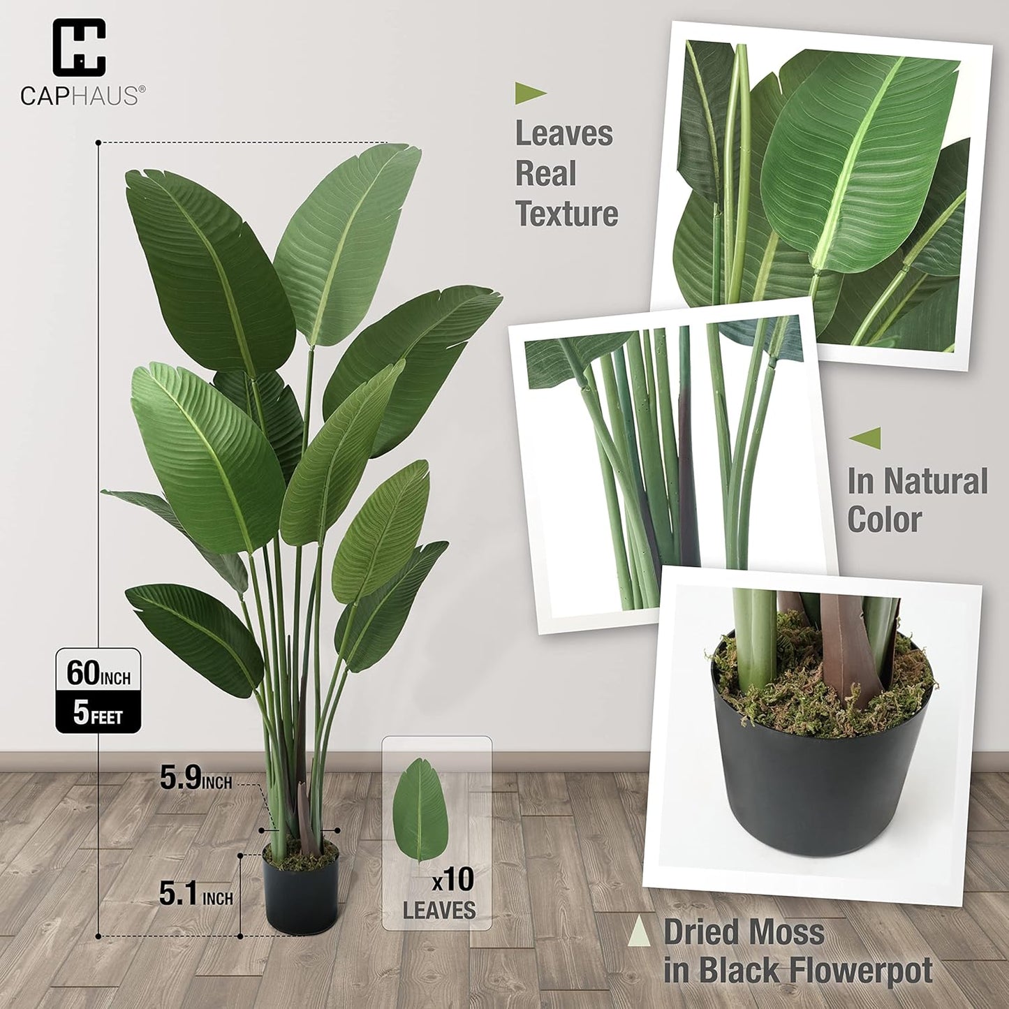 CAPHAUS 5 Feet Artificial Bird of Paradise, 60 Inch with 10 Trunks, Premium UV Resistant Lifelike Fake Plant in Pot with Dried Moss for Office, Indoor/Outdoor Use & Tropical Home Décor
