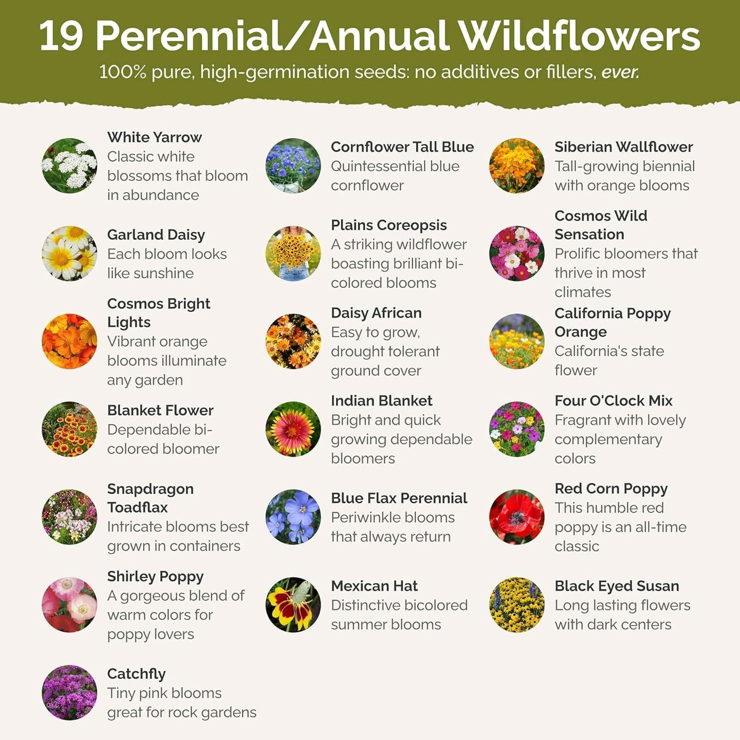 Eden Brothers Dry Area Wildflower Mixed Seeds for Planting, 1/4 lb, 120,000+ Seeds with Cosmos, African Daisy, Blue Flax | Attracts Pollinators, Plant in Spring or Fall, Zones 3, 4, 5, 6, 7, 8, 9, 10