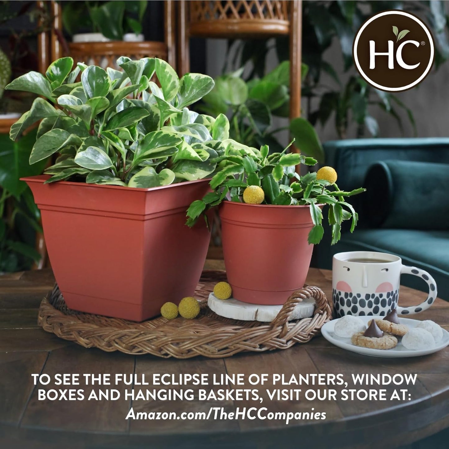 The HC Companies Eclipse Round Planter with Saucer - Outdoor & Indoor Plant Pot with Drainage Holes - Lightweight, UV-Resistant Plastic Pots for Plants, Flowers & Herbs (10" Chocolate, Pack of 1)