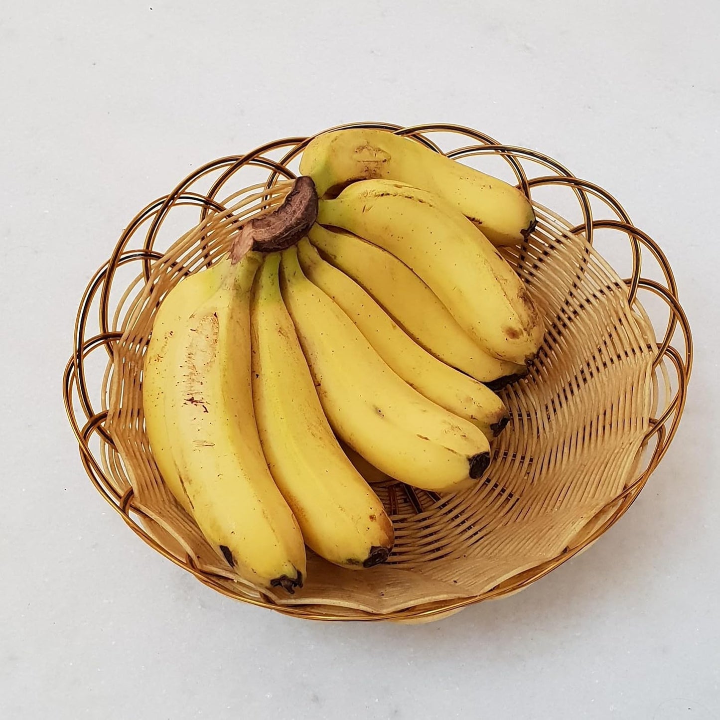Dwarf Cavendish Banana Plant (Musa acuminata 'Dwarf Cavendish') - Indoor/Outdoor Edible Fruit Tree - Fast Growing, Grows Up to 7 Feet Tall