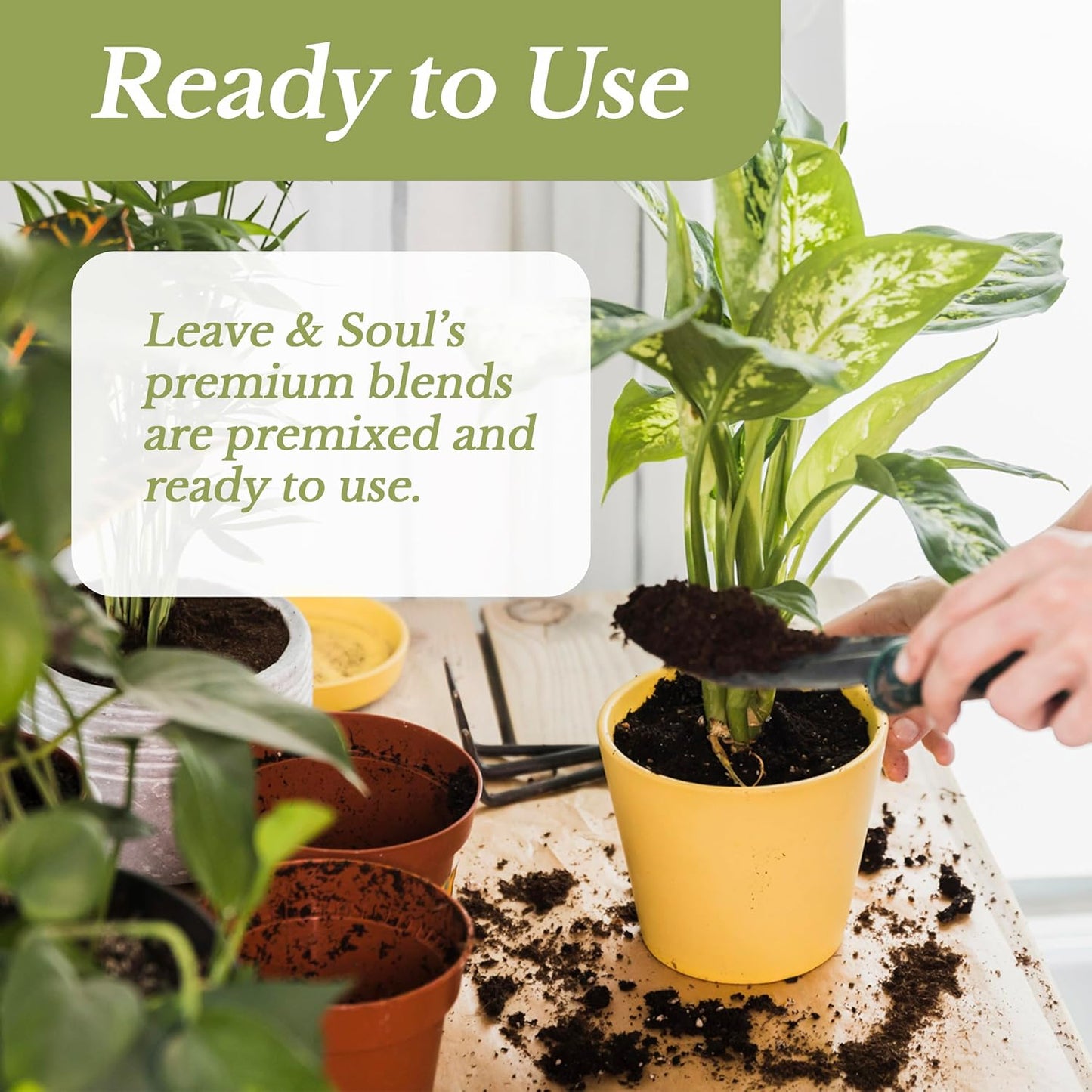 Professional African Violet Plant Soil | Premium All Purpose Blend | Large 2.2 Quarts | Ready to Use for Indoor Flowering Plants | Peat Moss, Coco Coir, Perlite, Dolomite | Made in USA