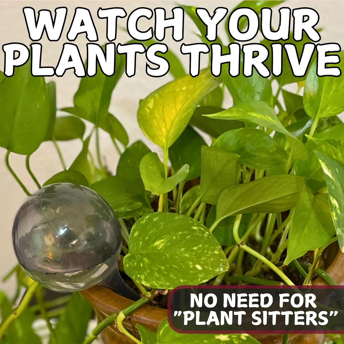 Water Globes for Watering Plants Automatically - Shatterproof & Weatherproof Self-Watering Stakes - Water Bulbs for Indoor & Outdoor Plants - Keeps Soil Moist & Plants Happy