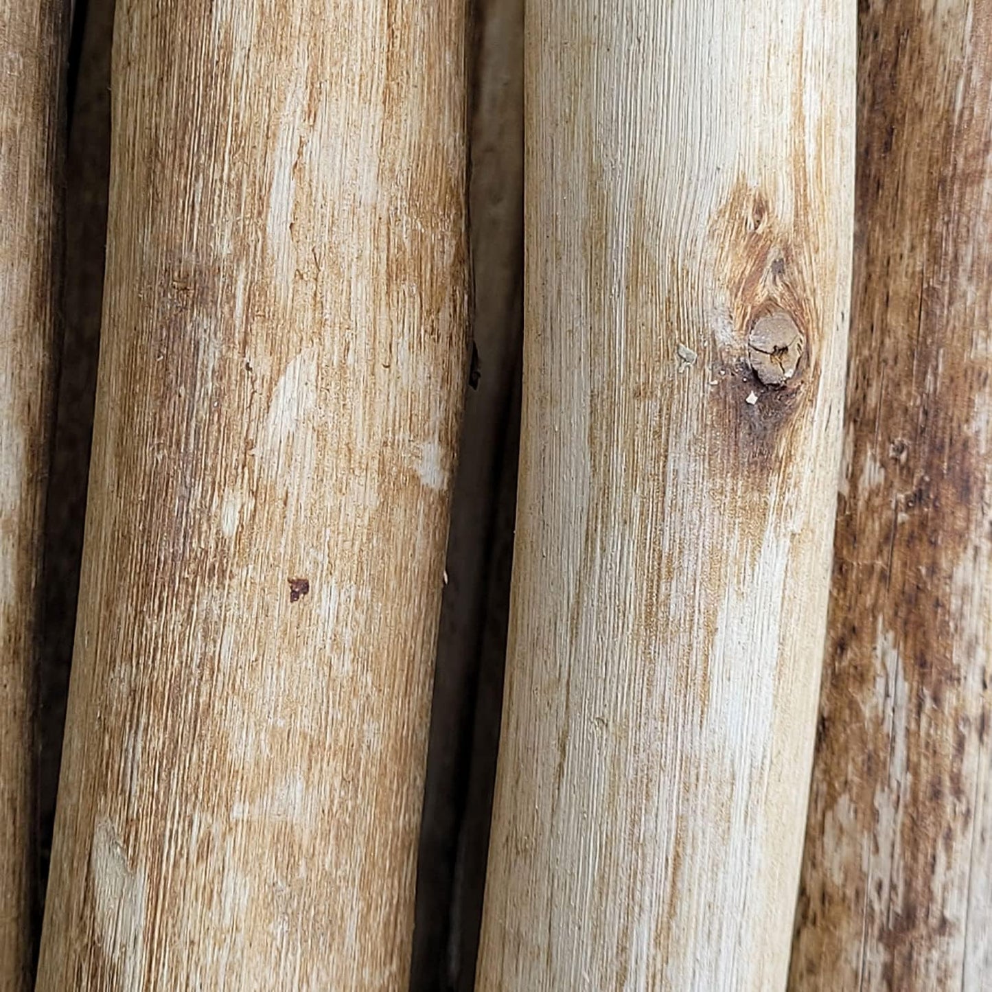 FOREVER BAMBOO Natural Eucalyptus Wood Solid Log for Landscaping Edging Lawn Garden Fence Borders 72 in L x 12 in H x 1.25 in D