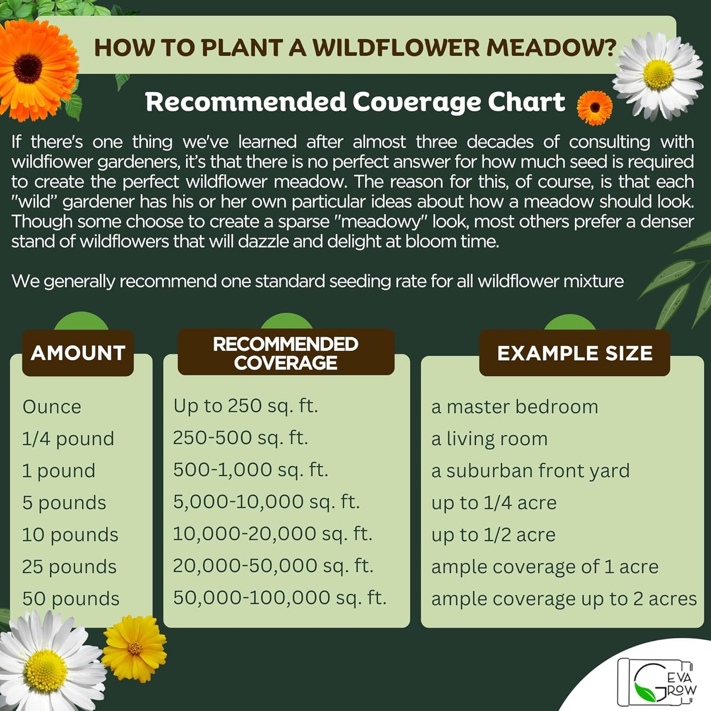on The Go Regional Wildflower Seed Shaker - Northeast USA Wildflowers - 100% Pure Seed - Organic, Non-GMO - 21 Wildflower Variety Seeds of Annual & Perennial, 8oz