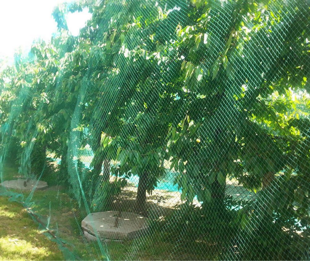 CandyHome 13Ft x 33Ft Anti Bird Protection Mesh Garden Netting Seedlings Plants Flowers Fruit Trees Vegetables from Rodents Deer Reusable Fencing, Green