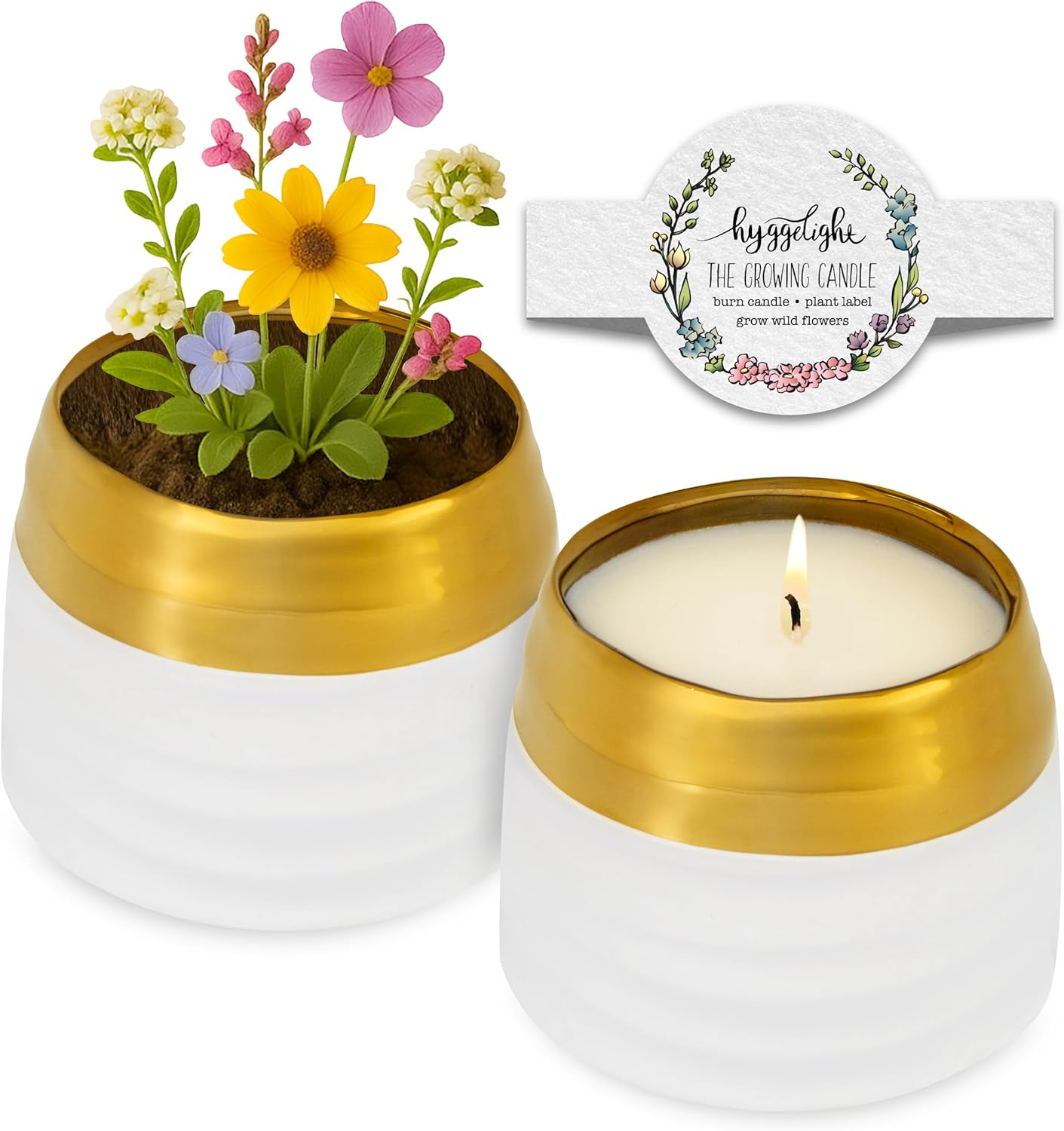 The Growing Candle, Coffee Scented, 10oz Ceramic Pot, Aromatherapy Candles, 100% Soy, Cream and Espresso Aroma for Home, Clara