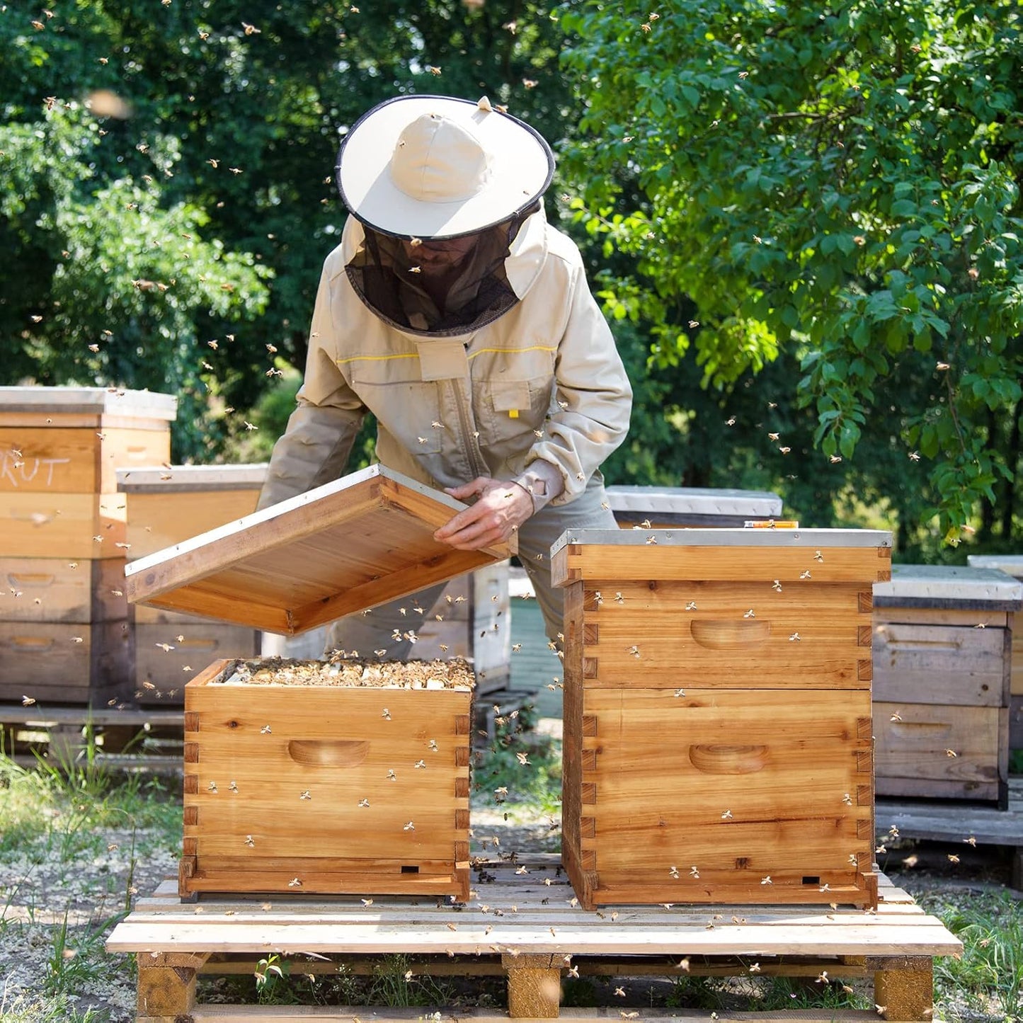 VINGLI 10 Frames Beehive, Complete Beehive Kit Includes 1 Deep Boxes, 1 Medium Box, Frames and Waxed Foundations, for Yard, Field, Bee Farm (2 Layer)