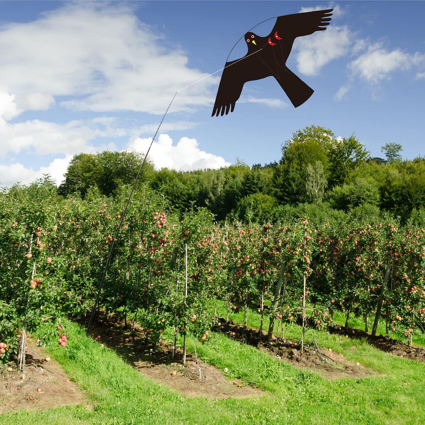Bird Hawk Flying Kite Without Pole for Crops Farm Protector Bird Scarer Flying Kites - Style C Kite Without Pole
