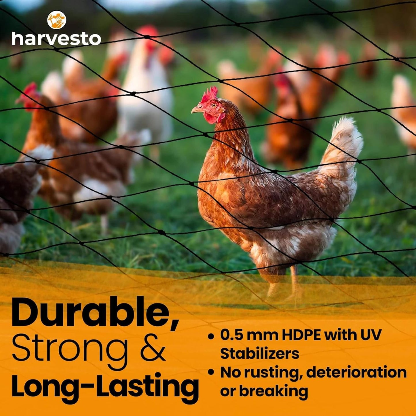 Heavy Duty Bird Netting for Chicken Coops & Runs | Tree & Garden Netting Mesh 1-1/2" | Keep Hawks, Birds & Predators Away | Bird Netting for Blueberry Bushes, Vegetables & Fruit (50' x 150')