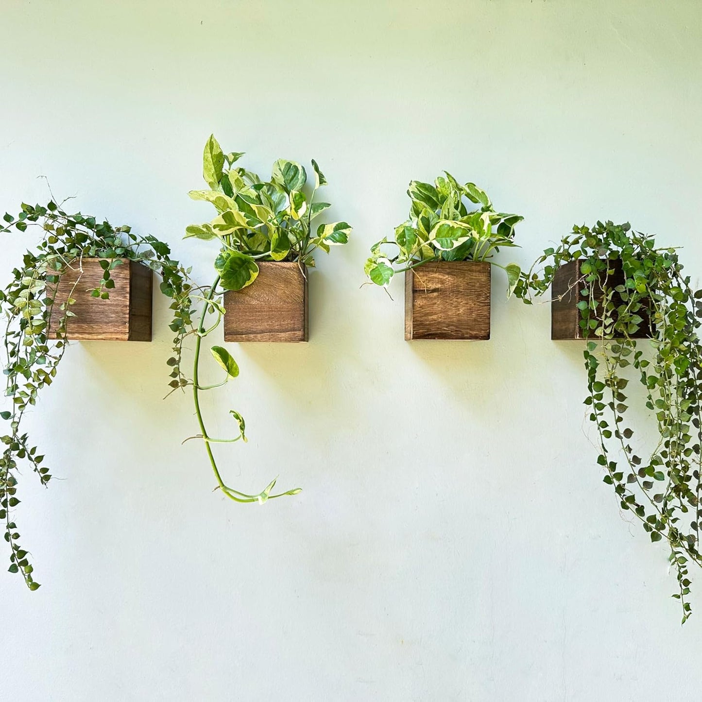 LaLaGreen Wood Planter Boxes (4x4 Inch, 4 Pack) Small Square Wooden Wall Mounted Flower Pot for Indoor Plants, Window Box Mount Hanging Herb Planters Outdoor Plant Holder Vertical Garden Home Decor