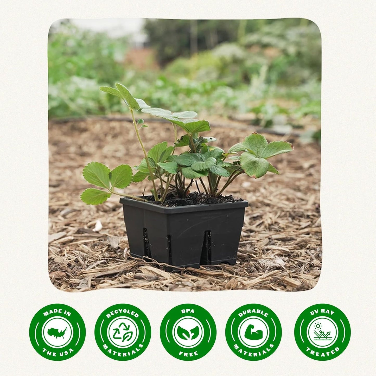 Epic Gardening Reusable Seed Starter Tray - 4 Cell 4"/8 Seedling Starter Trays - Easy Watering, Indoor Greenhouse, Plant Starter, Gardener-Friendly for Seedlings | UV-Treated & BPA-Free - Black