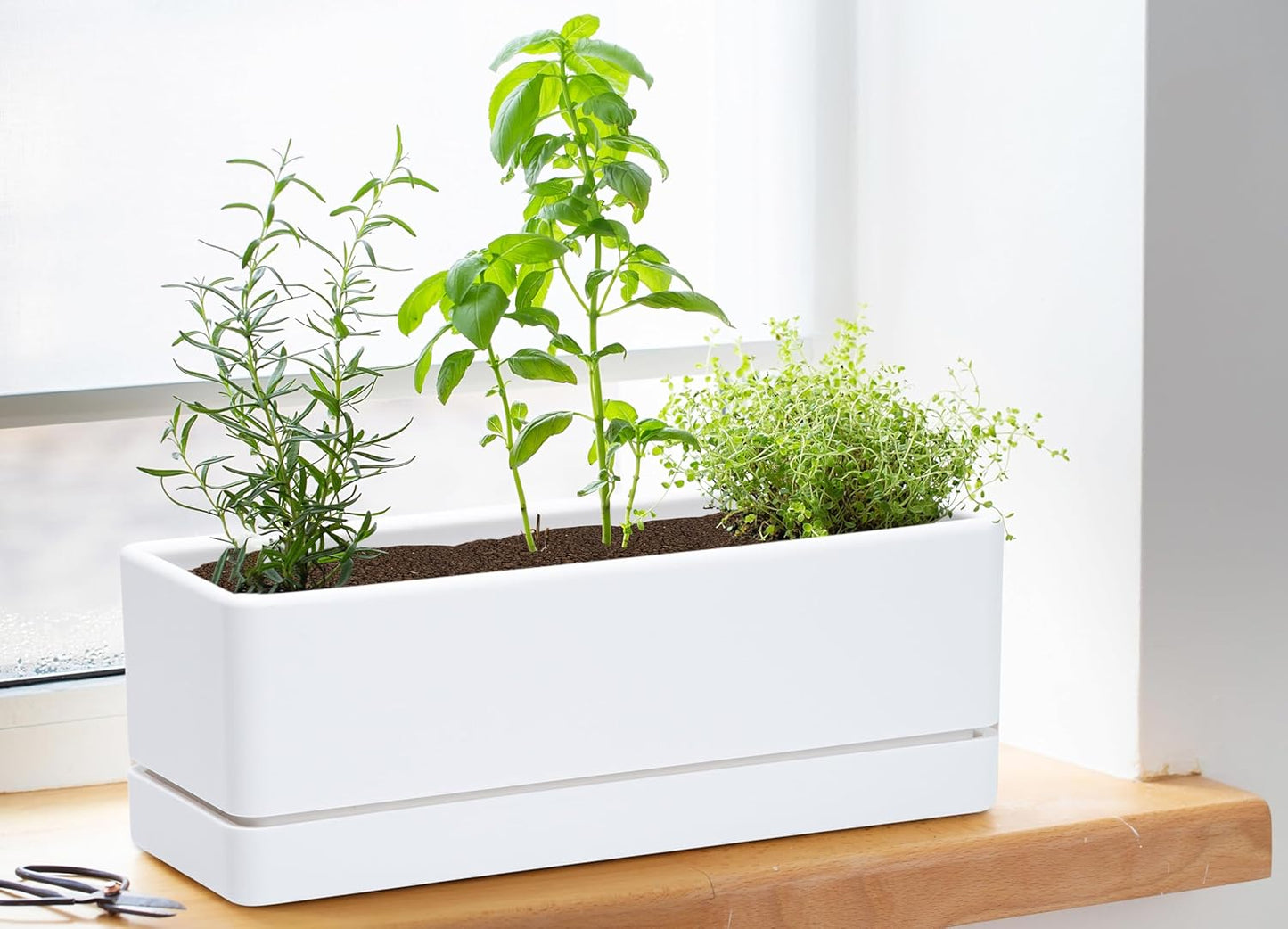 D'vine Dev 12 Inch Window Box Planter, Rectangle Plastic Herb Planter with Drainage Holes and Saucer, Indoor Succulent Cactus Vegetable Pot for Windowsill, Garden Balcony, White, Set of 1, 76-X-A-1
