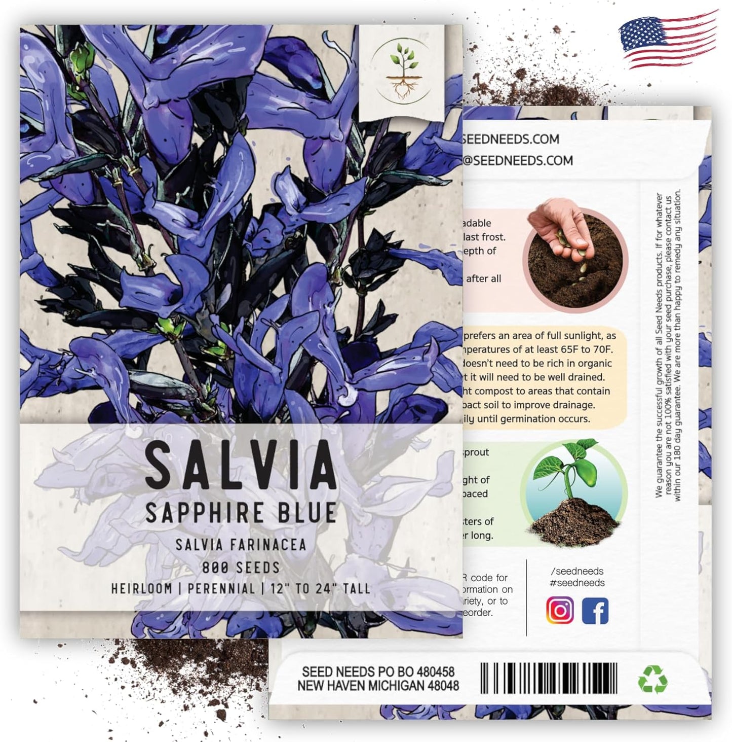 Seed Needs Sapphire Blue Sage Seeds for Planting - Heirloom & Open Pollinated Salvia - Grow a Butterfly Garden with Perennial Flowering Plants (2 Packs)