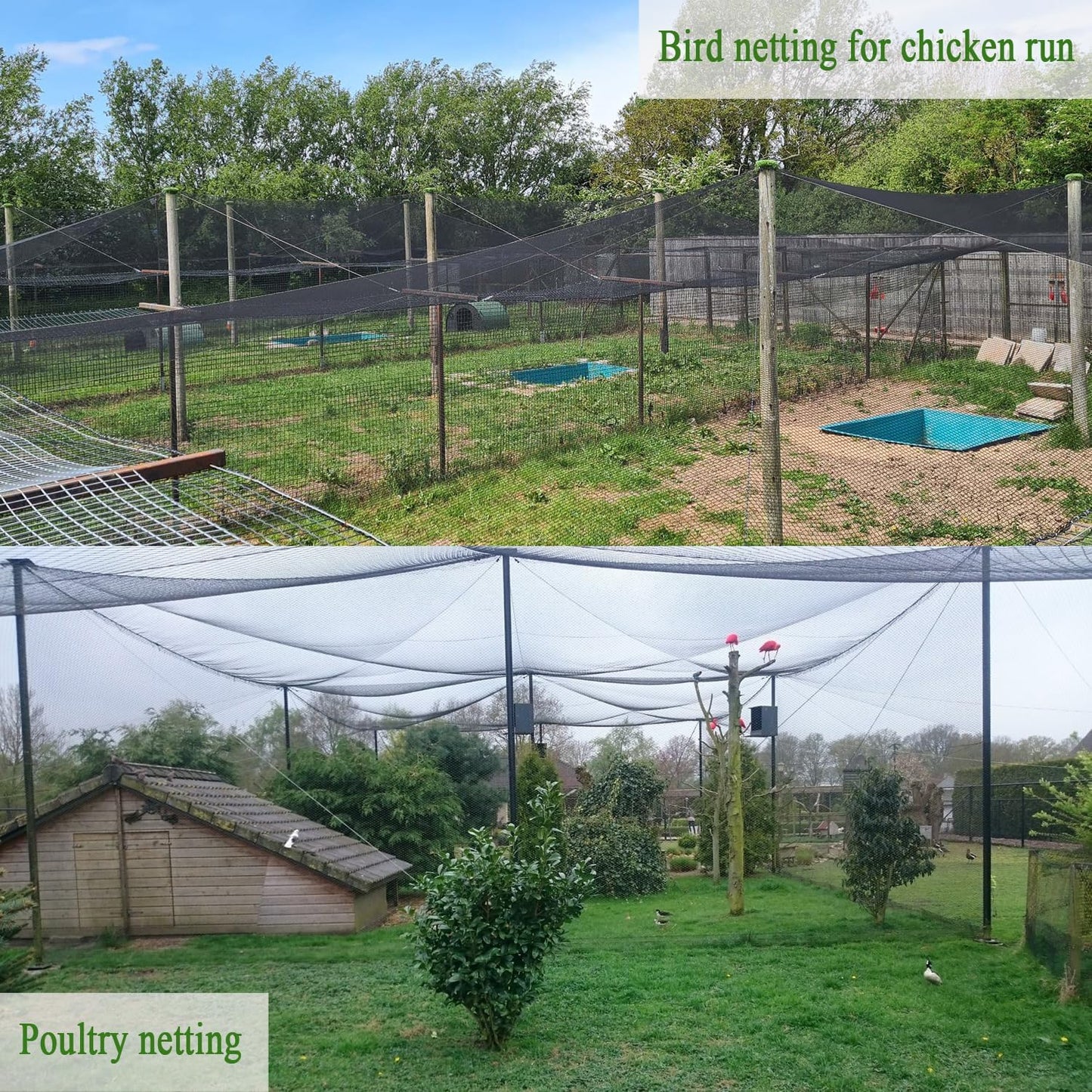 Bird Netting for Chicken Coop 50x100 Ft, 1" Mesh, Strong Woven Poultry Netting Roof Cover for Chicken Run, Heavy Duty Bird Net for Fruit Trees, Blueberry, Vegetables, Garden Protection