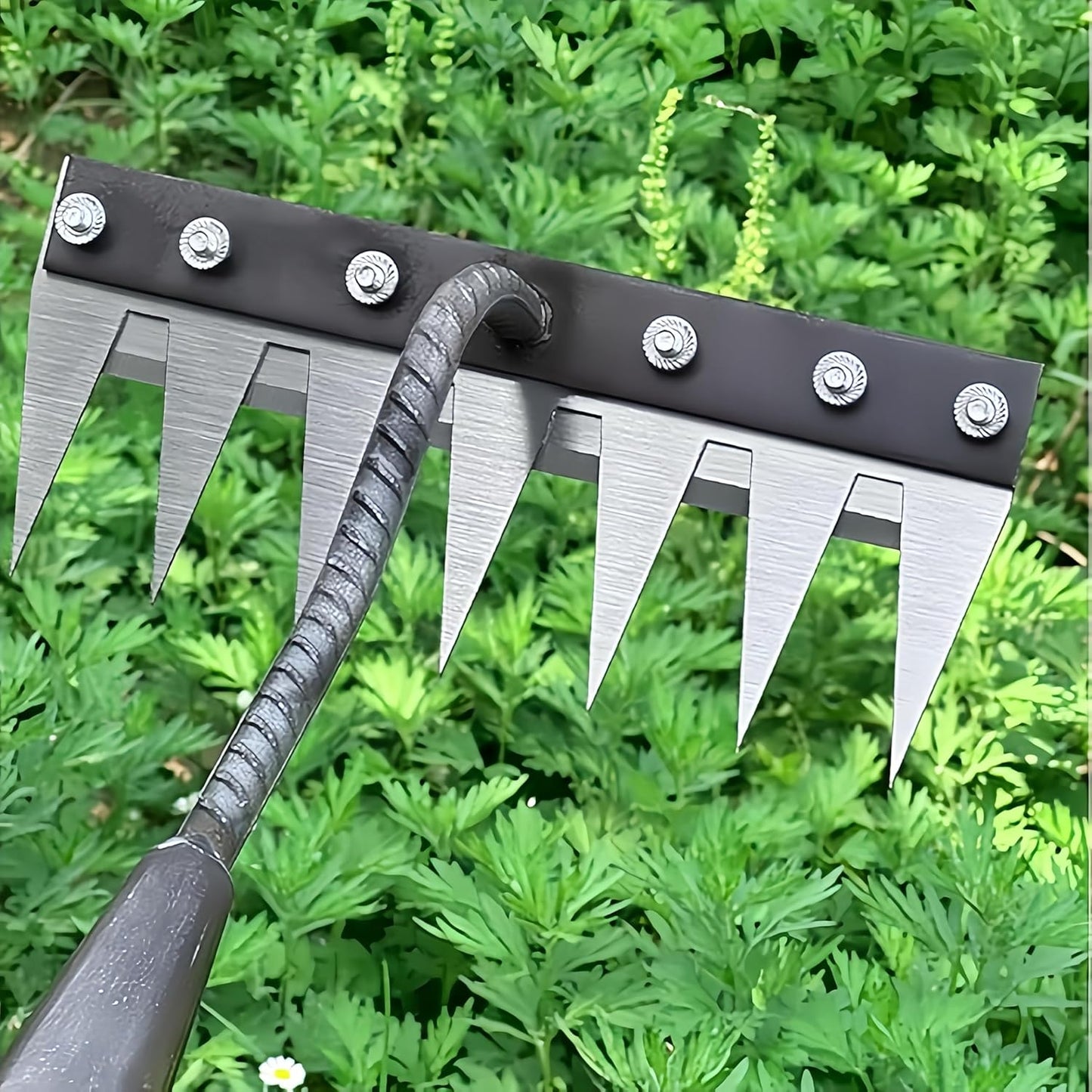 Gardenia Iron Weeding Rake, Iron Rake 2.0 for Gardening and Weeding, Detachable Double-Edged Blade Design Carbon Steel Heavy-Duty Weed Rakes,Hand Weed Puller Tools for Lawn Yard Garden Farm (6 teeths)