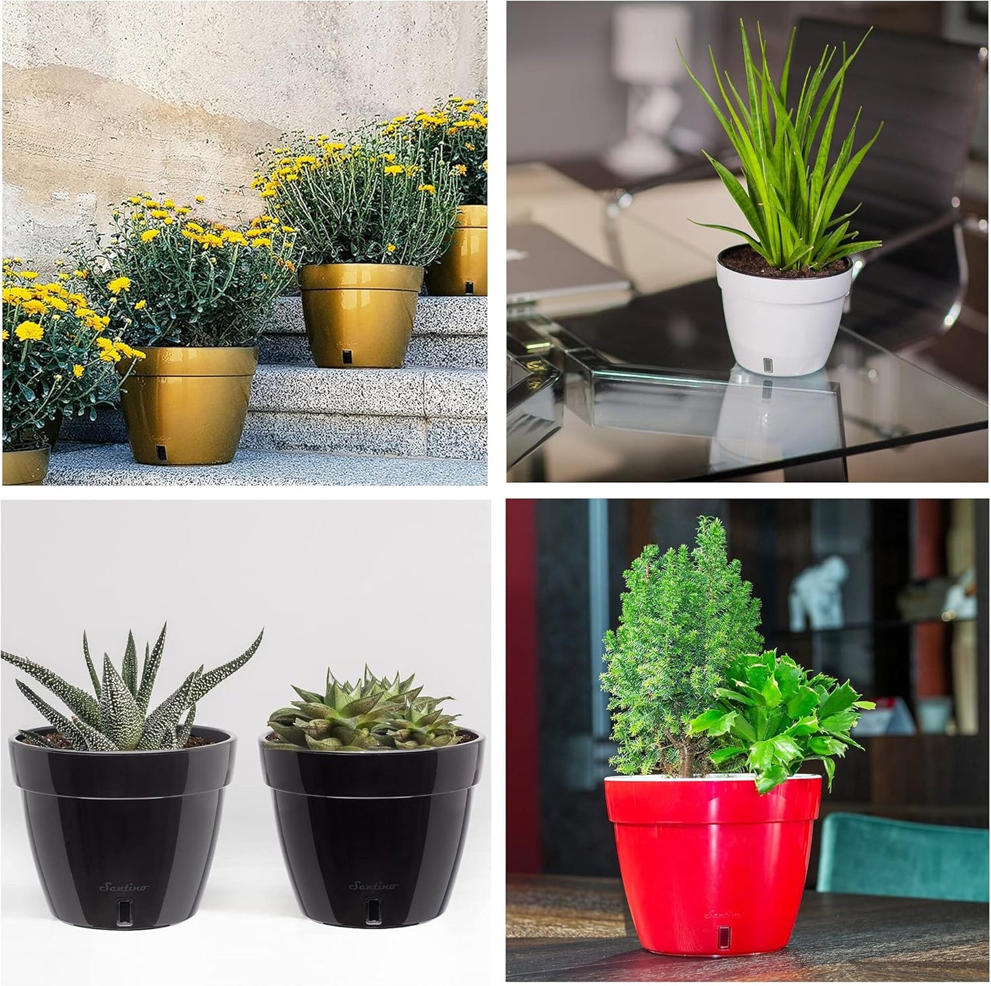 Santino ASTI 7.9 Inch Self Watering Planter Green/Black for Indoor Plants - Premium Quality Modern Plastic Pot w/Water Level Indicator for All House Herbs, Plants, African Violets and Dahlias…