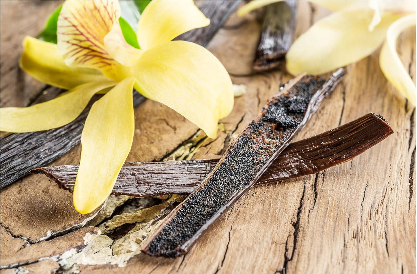 10 Organic Madagascar Vanilla Beans - Whole Extract Grade B Pods for Baking, Homemade Extract, Brewing, Coffee, Cooking