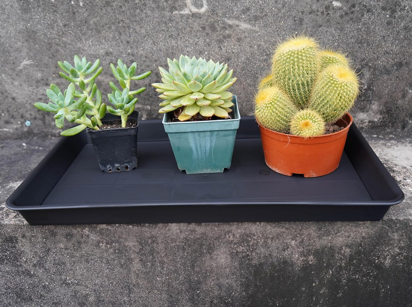 4 Pack Plant Growing Nursery 1020 Trays, Plant Saucer Tray, Heavy Sturdy Seed Starting Trays, Plant Saucer for Indoors No Holes, Seed Starter Growing Tray (22"x11.2", Black)