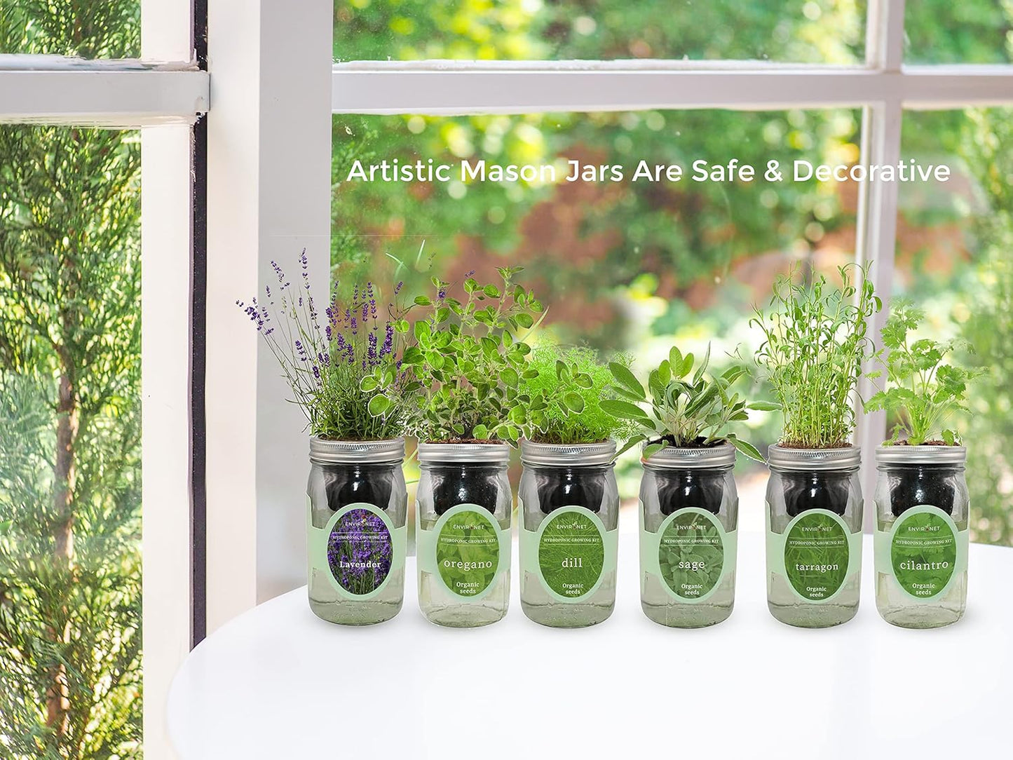 Hydroponic Herb Growing Kit, Self-Watering Mason Jar Herb Garden Starter Kit Indoor, Windowsill Herb Garden, Grow Your Own Herbs from Organic Seeds (Dill)