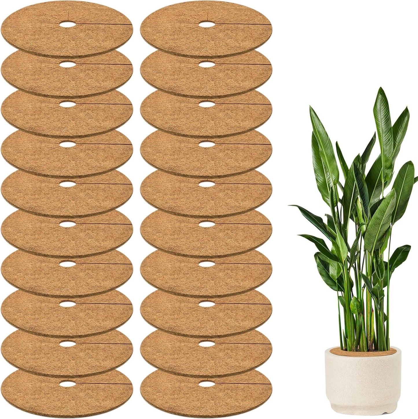 ZeeDix 20 Pack 12 Inch Coconut Fiber Mulch Ring, 100% Natural Coco Coir Tree Ring Mulch Mat Plant Protector Mat, Coconut Coir Discs Plant Pot Soil Cover for Indoor Outdoor Plants, Garden Decoration