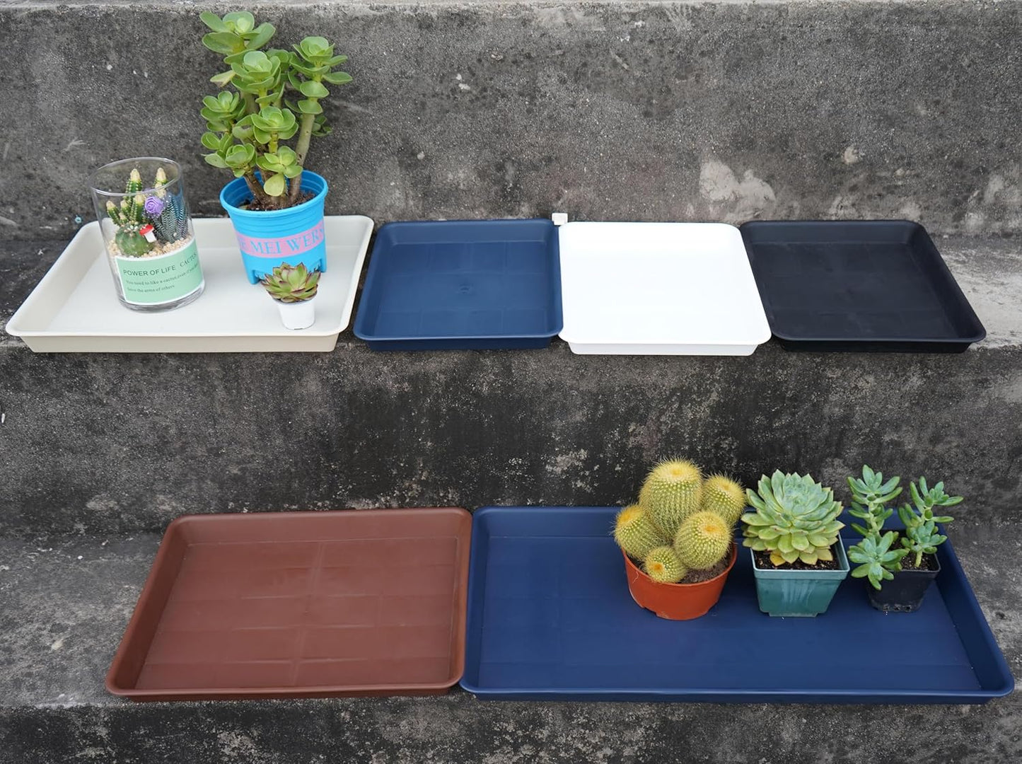 Plant Saucer Growing Trays, Seed Starter Tray, 14"x11", Heavy Sturdy Plastic Microgreens Saucers, Propagation Saucer Rectangular, Humidity Trays, Seedling Seed Starter Growing Tray