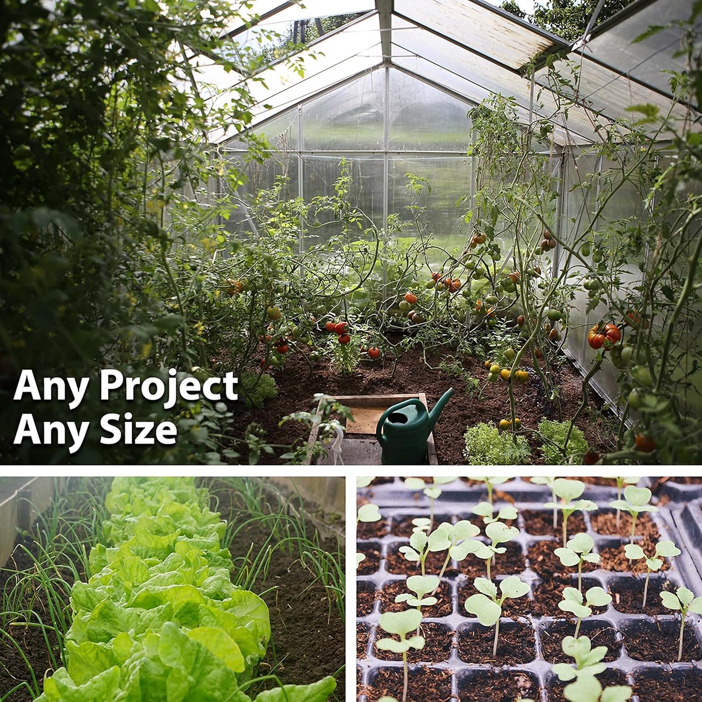 Handy Pantry Black Plastic Garden Tray Inserts - 10 Sheets of 36 Planting Pot Cells Each - 2x3 Nested x6 Configuration - Perforated - Nursery, Greenhouse, Gardening