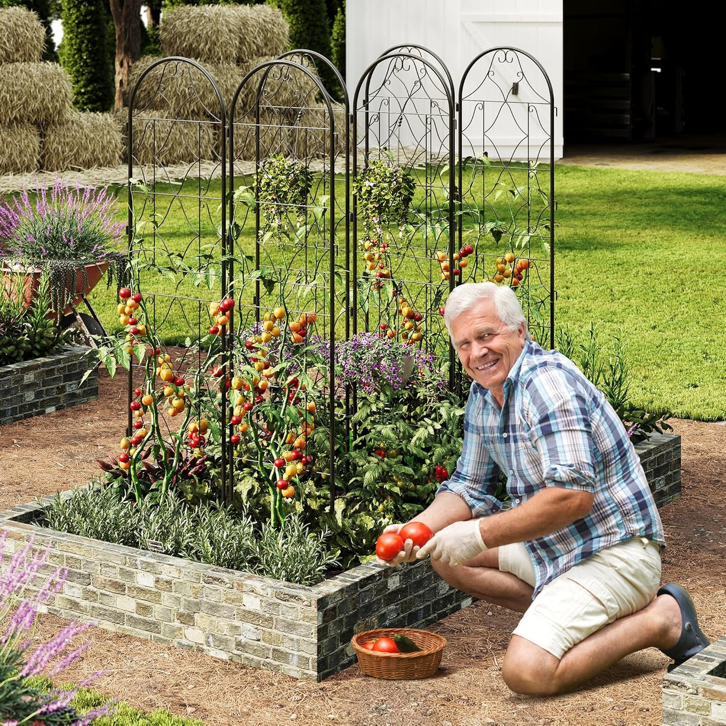 Garden Trellis 4 PCS - Tall 75 Inch x 20 Inch Metal Trellis for Climbing Plants & Vegetables | Rustproof Black Powder Coated Outdoor Plant Support | Patio Decor for Vines, Roses, Cucumbers, Tomatoes