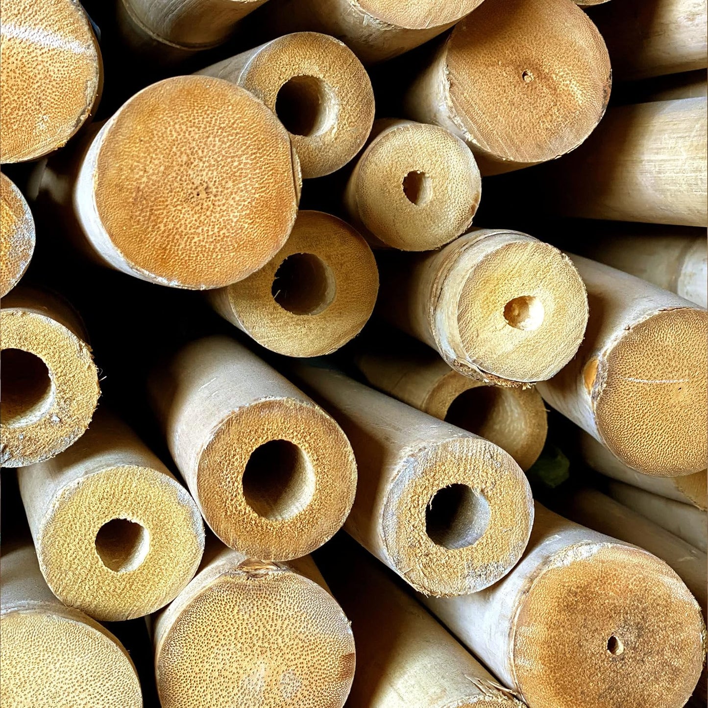 FOREVER BAMBOO 90" L Solid Bamboo Poles for Structural Design and Weight-Bearing Support (6-Pack)